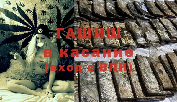 молекула духа Богородицк